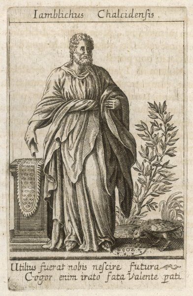 Book Cover - The Daily Platonist